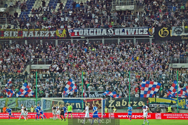 Zdjęcia z meczu Górnik Zabrze - Stal Mielec! Remis w 1. lidze!