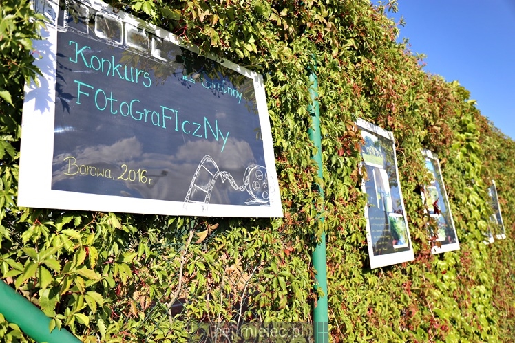 Dni Gminy Borowa 2016: turniej, konkurs i występy