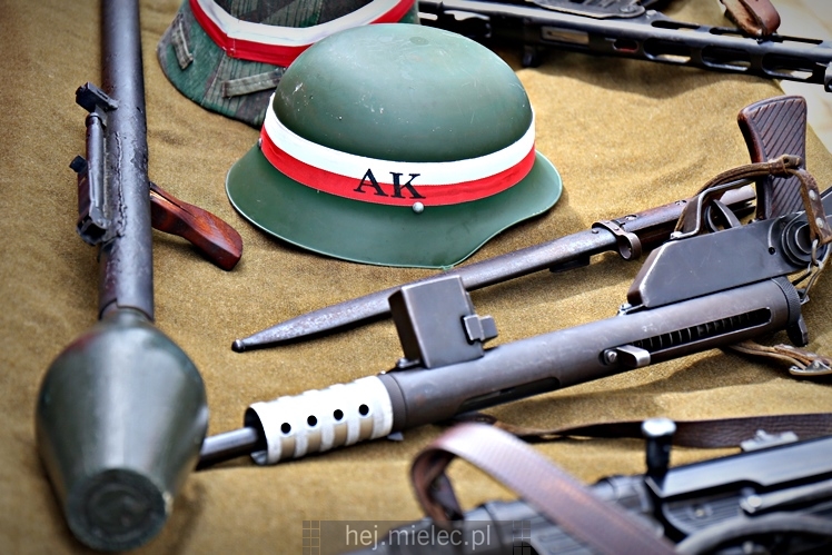 III Zlot Militarny ?Partyzancki Patrol 1946? ? pokazy i wystawy