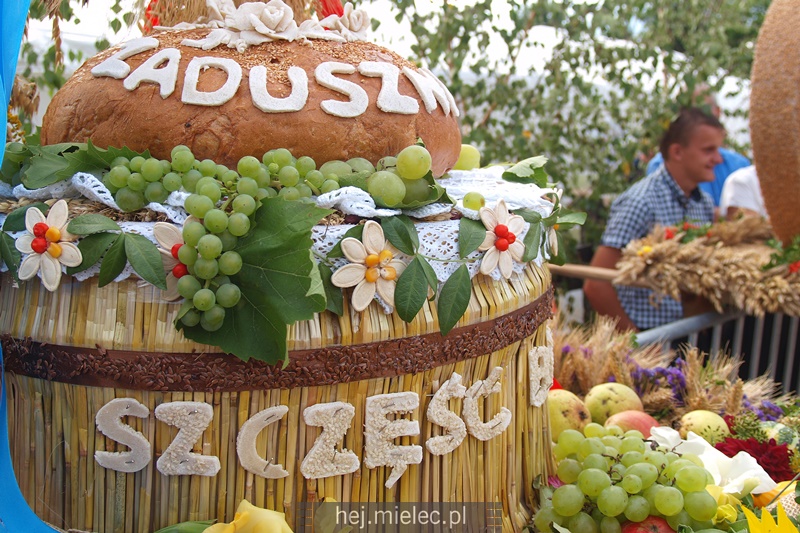 Gmina Padew Narodowa świętowała w Babulach