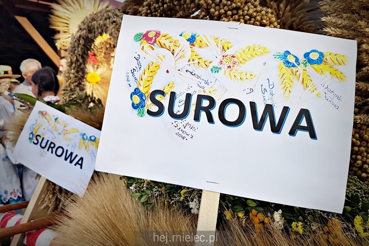 Dożynkowe święto w Surowej