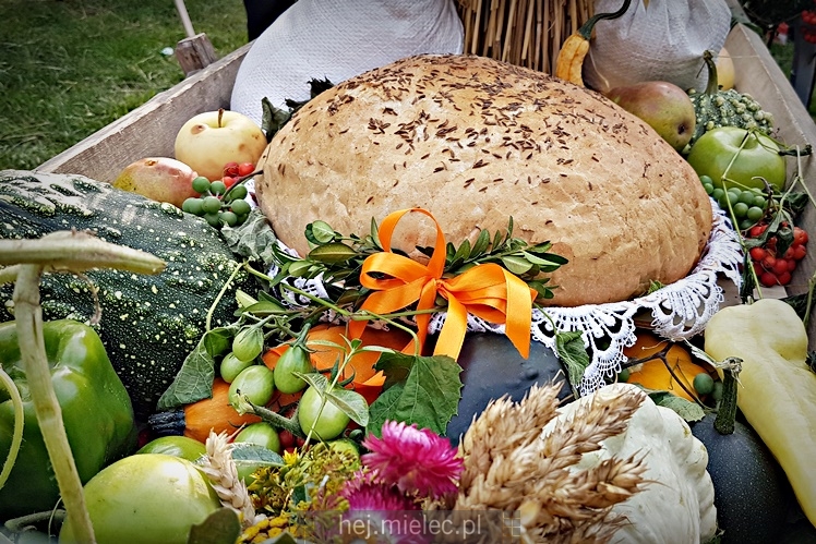 Dożynkowe święto w Surowej