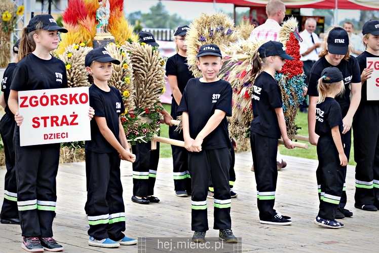 Dożynki Gminy Radomyśl Wielki 2016