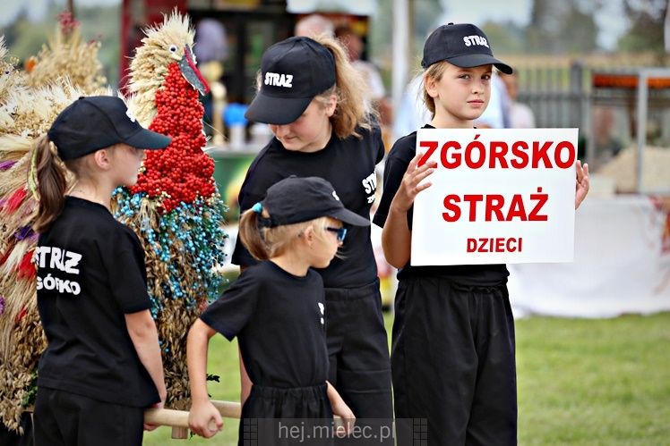 Dożynki Gminy Radomyśl Wielki 2016