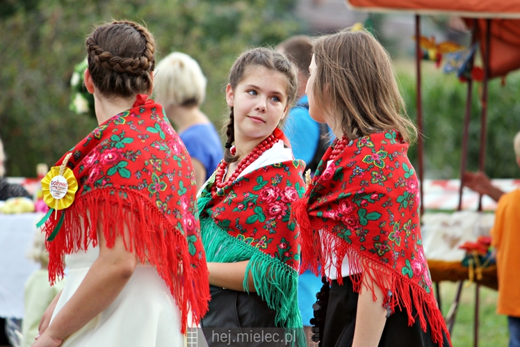 Dożynki Gminy Mielec - Rzędzianowice 2016