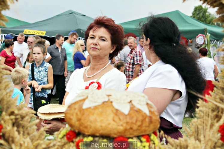 Dożynki Gminy Mielec - Rzędzianowice 2016