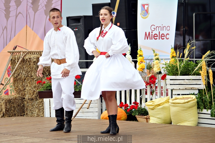 Dożynki Gminy Mielec - Rzędzianowice 2016