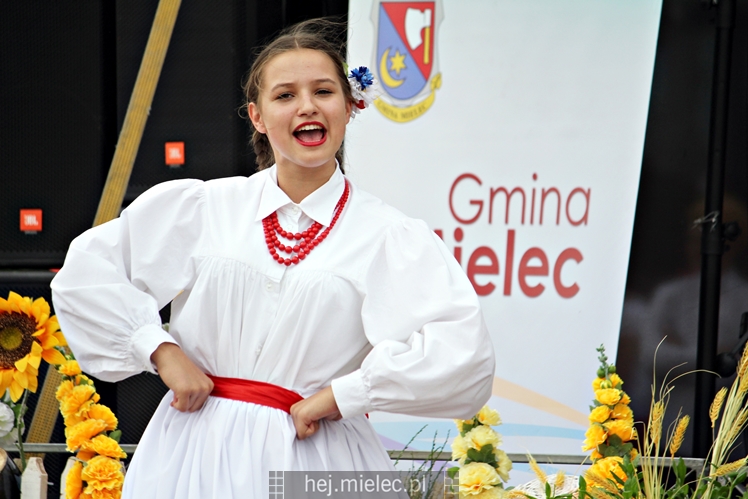 Dożynki Gminy Mielec - Rzędzianowice 2016