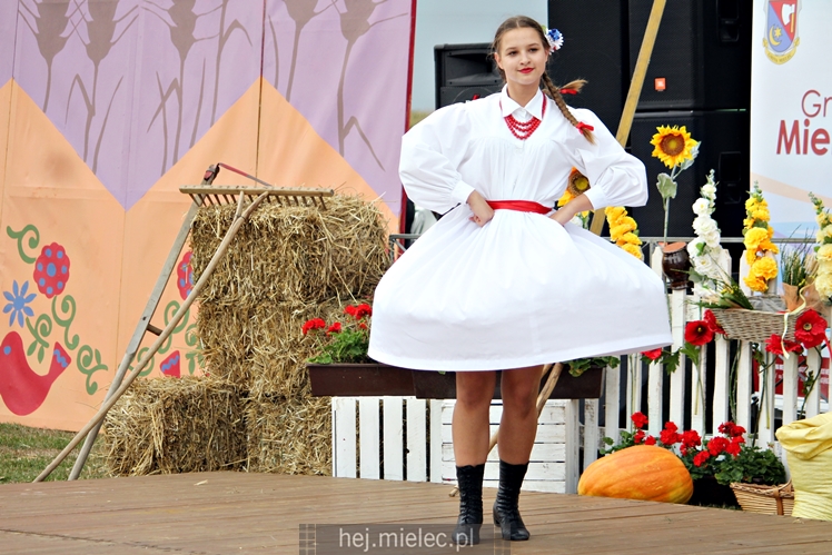Dożynki Gminy Mielec - Rzędzianowice 2016