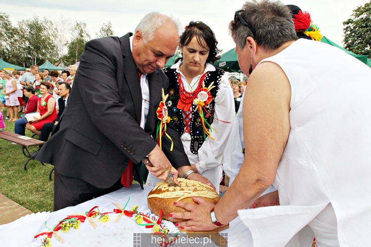 Dożynki Gminy Mielec - Rzędzianowice 2016