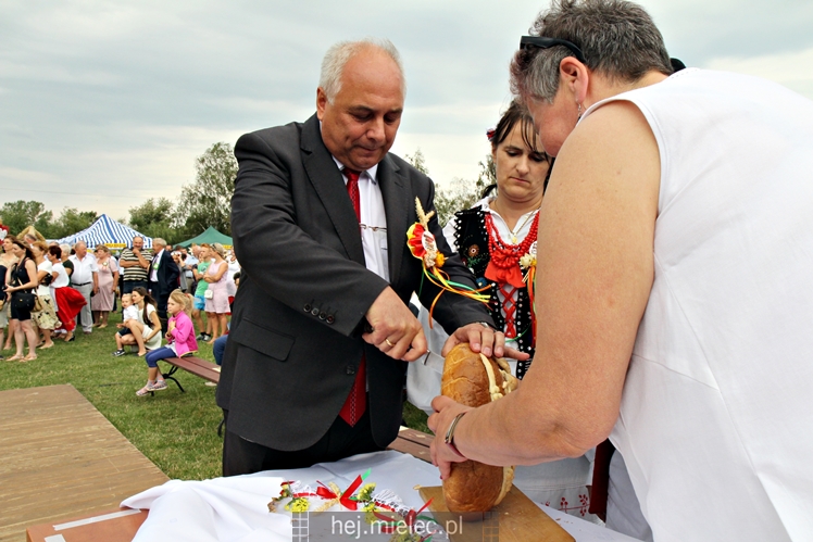 Dożynki Gminy Mielec - Rzędzianowice 2016