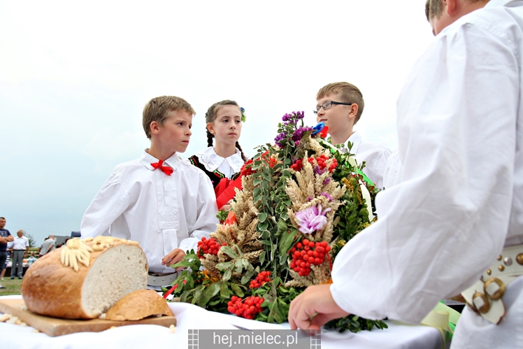 Dożynki Gminy Mielec - Rzędzianowice 2016