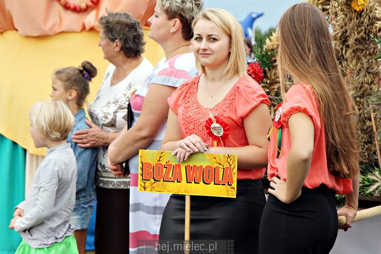 Dożynki Gminy Mielec - Rzędzianowice 2016