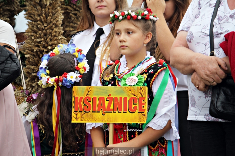 Dożynki Gminy Mielec - Rzędzianowice 2016