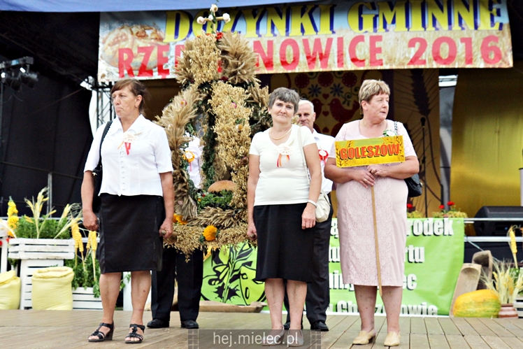 Dożynki Gminy Mielec - Rzędzianowice 2016