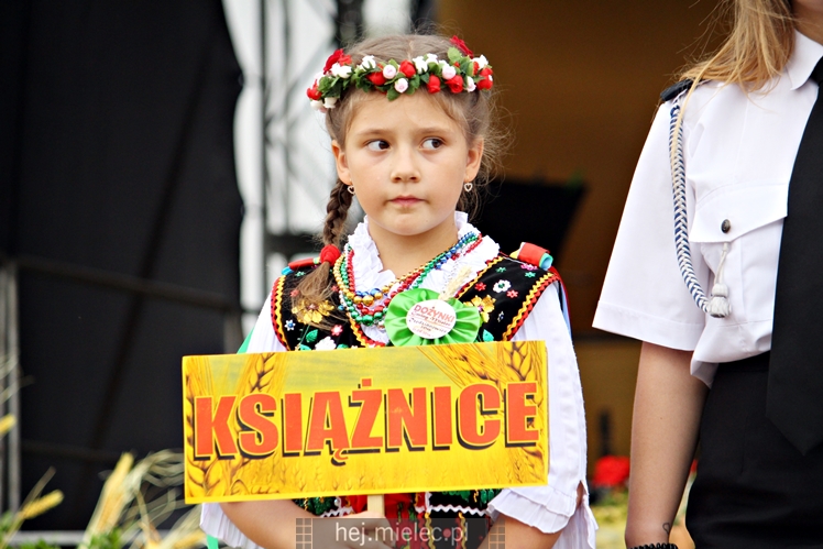 Dożynki Gminy Mielec - Rzędzianowice 2016