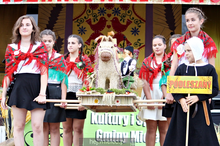 Dożynki Gminy Mielec - Rzędzianowice 2016