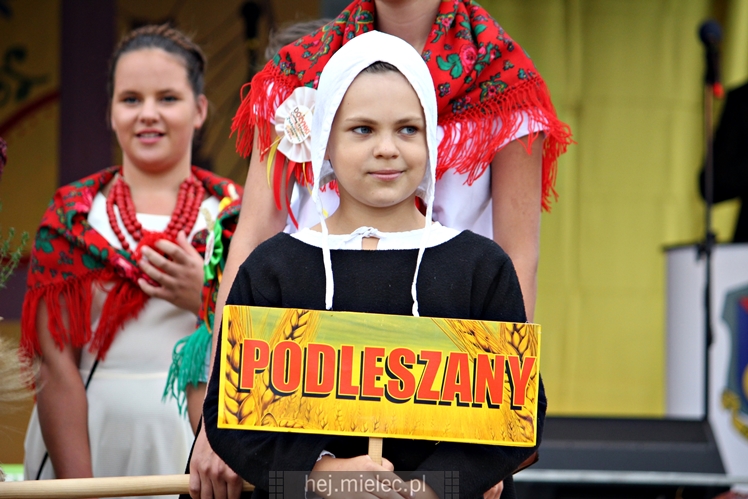 Dożynki Gminy Mielec - Rzędzianowice 2016