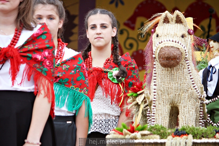 Dożynki Gminy Mielec - Rzędzianowice 2016