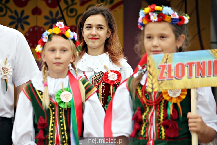 Dożynki Gminy Mielec - Rzędzianowice 2016