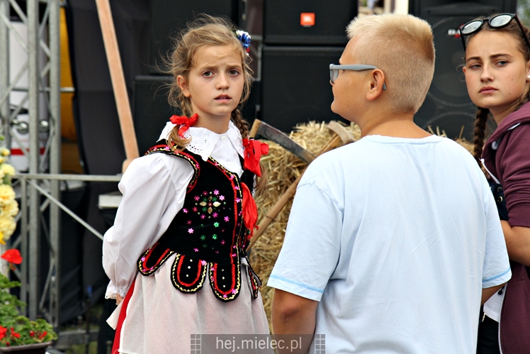 Dożynki Gminy Mielec - Rzędzianowice 2016