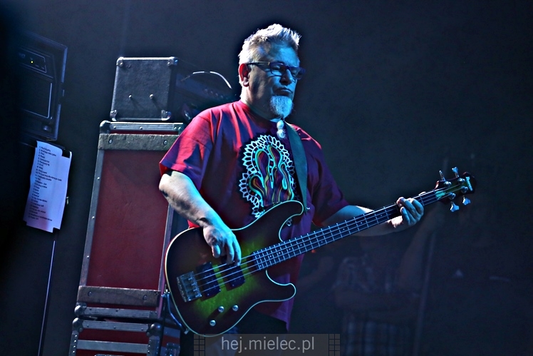 Dni Mielca 2016: KONCERT ZESPOŁU KULT - KAZIK STASZEWSKI