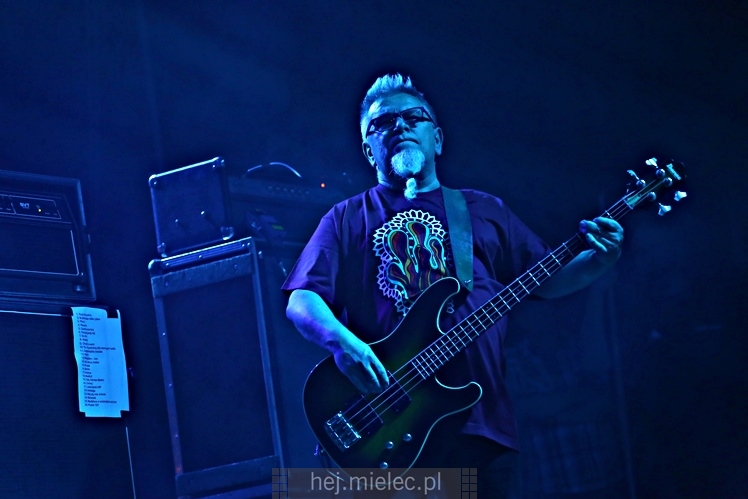 Dni Mielca 2016: KONCERT ZESPOŁU KULT - KAZIK STASZEWSKI