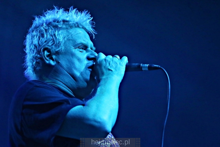 Dni Mielca 2016: KONCERT ZESPOŁU KULT - KAZIK STASZEWSKI
