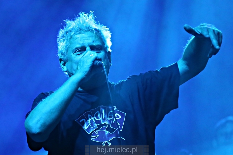 Dni Mielca 2016: KONCERT ZESPOŁU KULT - KAZIK STASZEWSKI