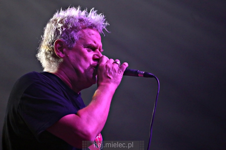 Dni Mielca 2016: KONCERT ZESPOŁU KULT - KAZIK STASZEWSKI