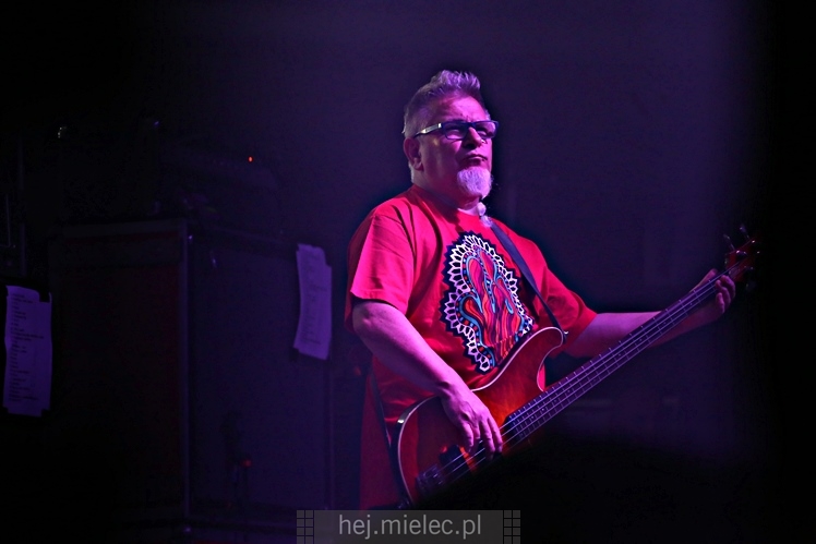 Dni Mielca 2016: KONCERT ZESPOŁU KULT - KAZIK STASZEWSKI