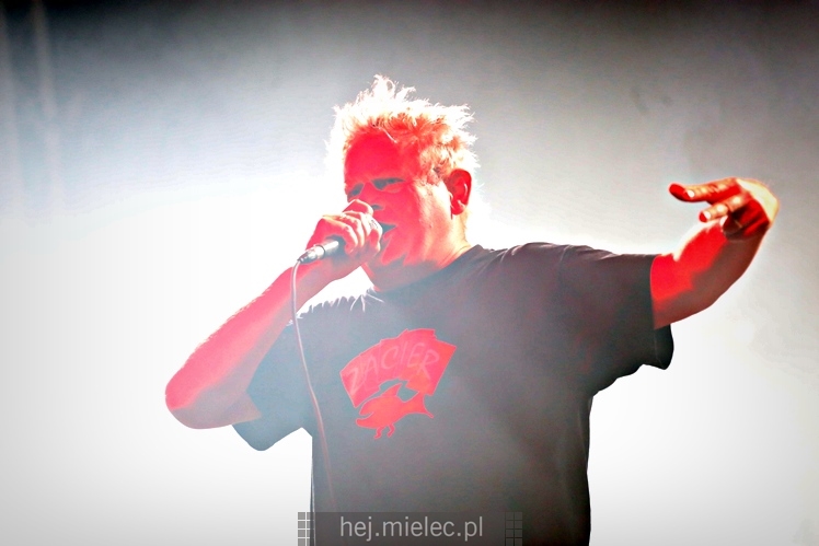 Dni Mielca 2016: KONCERT ZESPOŁU KULT - KAZIK STASZEWSKI