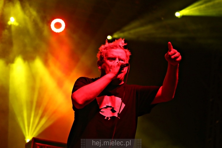 Dni Mielca 2016: KONCERT ZESPOŁU KULT - KAZIK STASZEWSKI