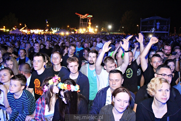 Dni Mielca 2016: KONCERT ZESPOŁU KULT - KAZIK STASZEWSKI