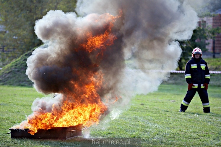 Piknik Wolności i Solidarności w Mielcu