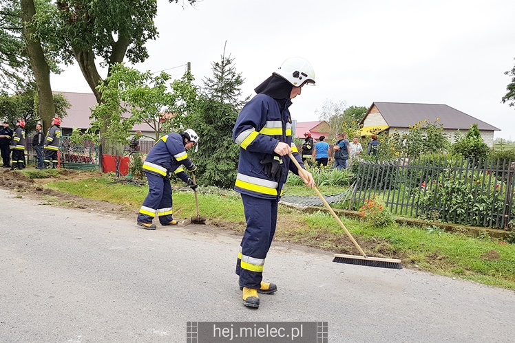 Przewrócił się samochód ciężarowy z trzodą chlewną
