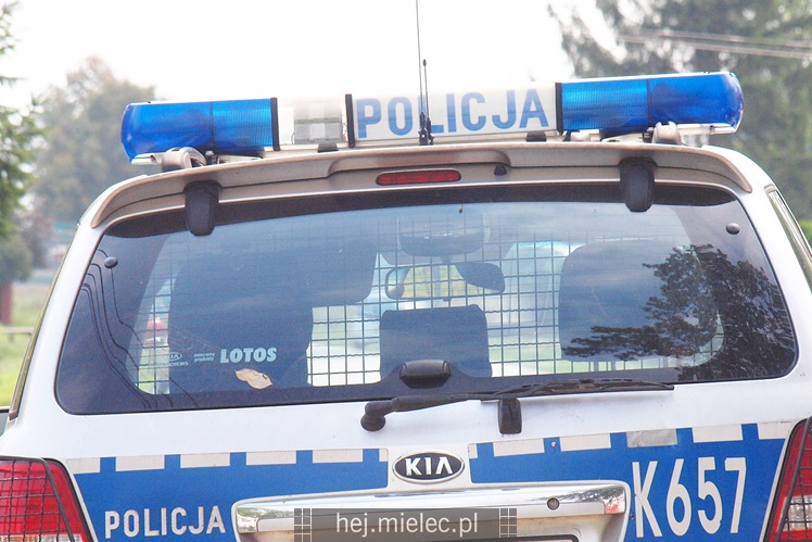 Przewrócił się samochód ciężarowy z trzodą chlewną