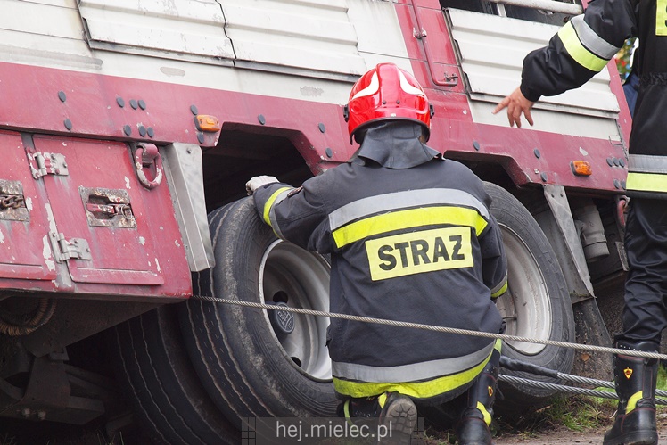 Przewrócił się samochód ciężarowy z trzodą chlewną