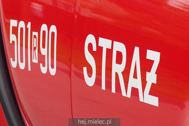 Przewrócił się samochód ciężarowy z trzodą chlewną