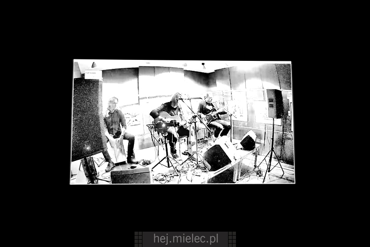 Koncert zespołu Hard Times w Jadernówce