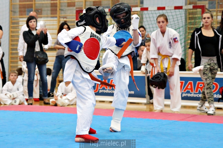 III Puchar Podkarpacia Dzieci i Młodzieży Karate Kyokushin