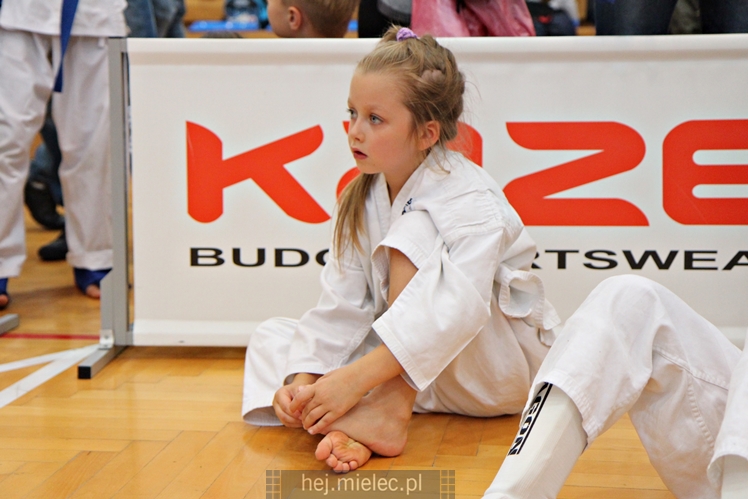 III Puchar Podkarpacia Dzieci i Młodzieży Karate Kyokushin