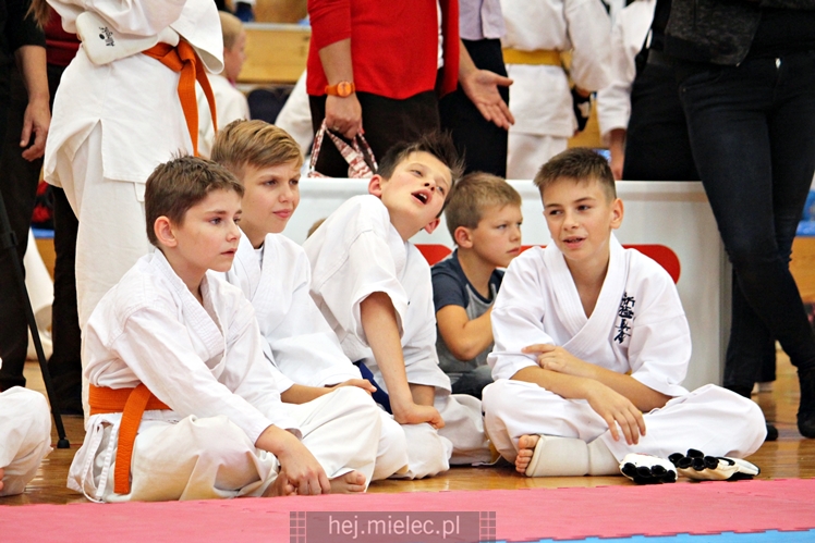 III Puchar Podkarpacia Dzieci i Młodzieży Karate Kyokushin