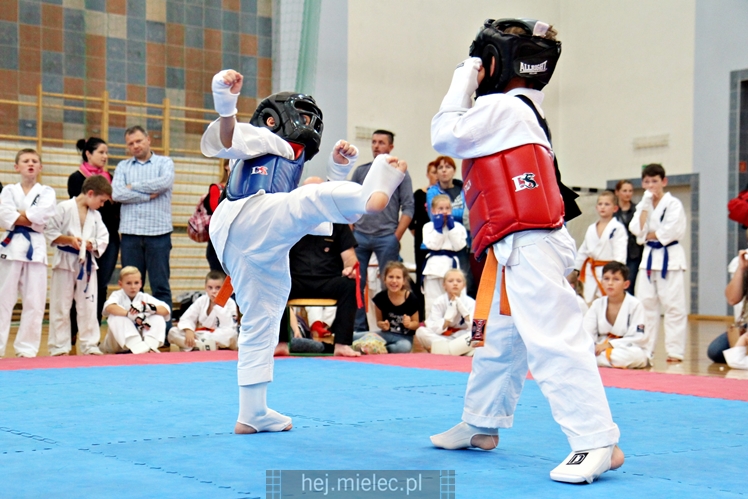 III Puchar Podkarpacia Dzieci i Młodzieży Karate Kyokushin