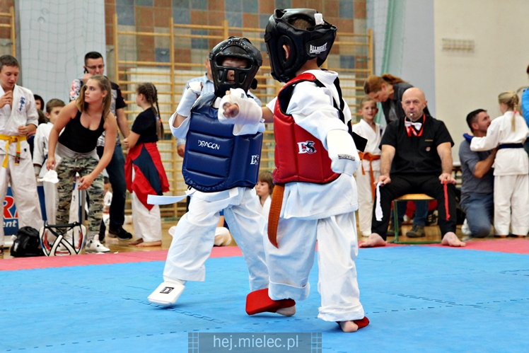 III Puchar Podkarpacia Dzieci i Młodzieży Karate Kyokushin