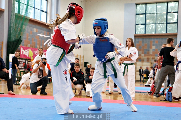 III Puchar Podkarpacia Dzieci i Młodzieży Karate Kyokushin