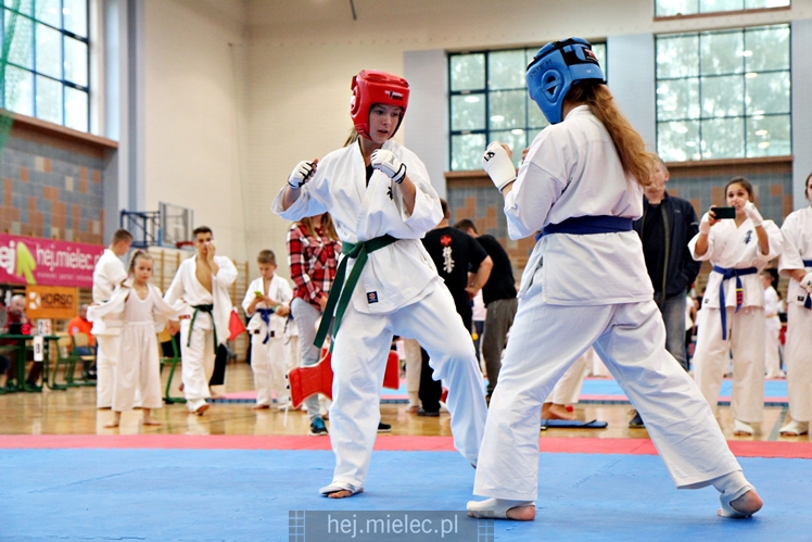 III Puchar Podkarpacia Dzieci i Młodzieży Karate Kyokushin
