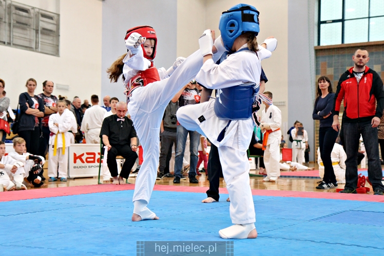 III Puchar Podkarpacia Dzieci i Młodzieży Karate Kyokushin