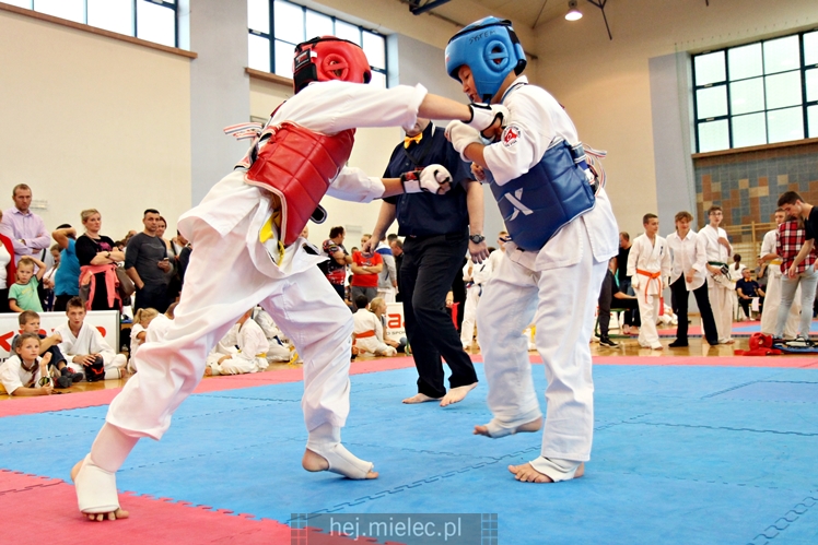III Puchar Podkarpacia Dzieci i Młodzieży Karate Kyokushin