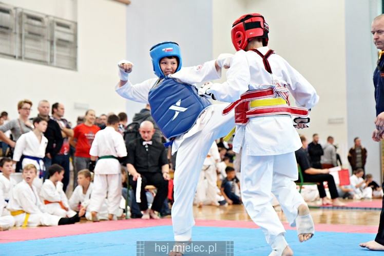 III Puchar Podkarpacia Dzieci i Młodzieży Karate Kyokushin